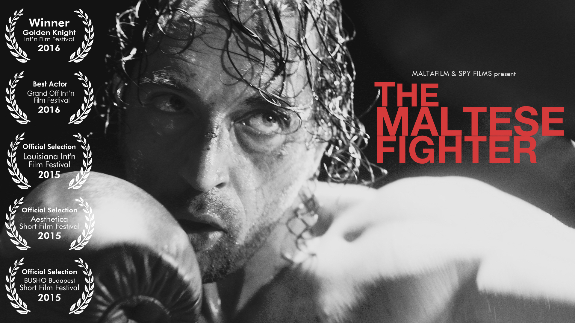 The Maltese Fighter